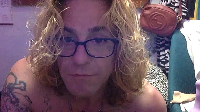 Show Webcam de VanillaSnowcones