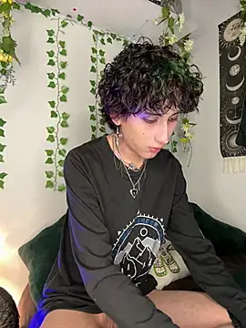 Show Webcam de noynxz