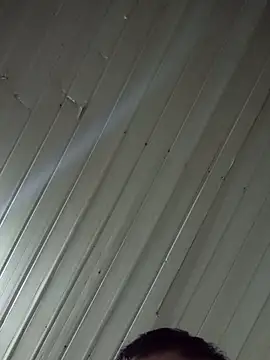 CasalCoupeBrasiln Webbikameraesitys