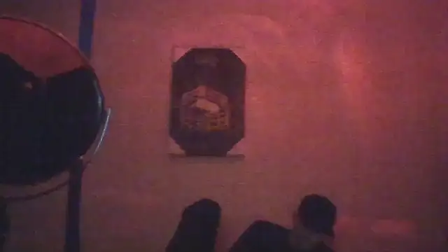 Show webcam de hailzeffn