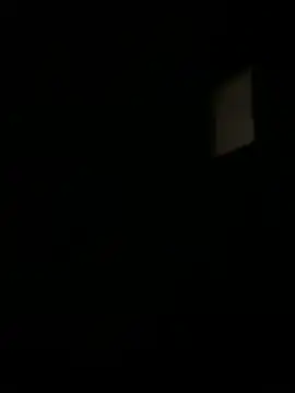 Rokuei Webcam-Show