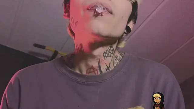 AcidMilo 网络视讯表演