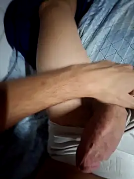 Felipeperdoson Webbikameraesitys