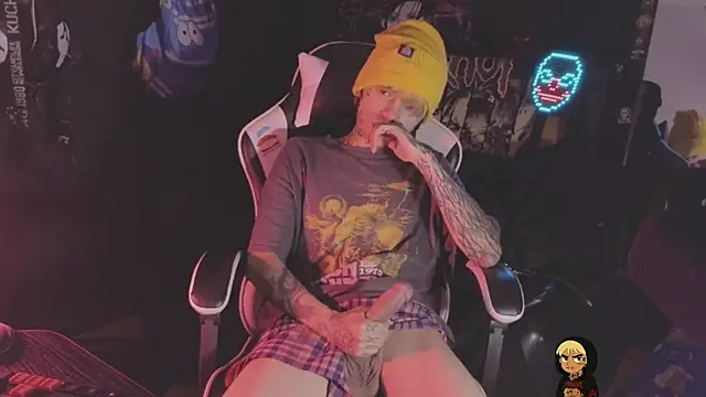 Show Webcam de AcidMilo