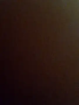 shanthi69 网络视讯表演