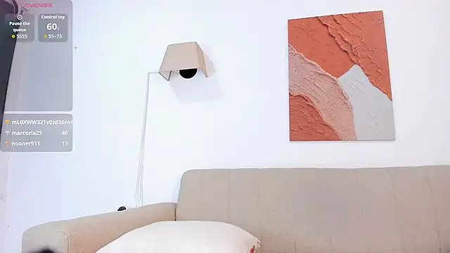 Aminaa_Kaarimn Webbikameraesitys