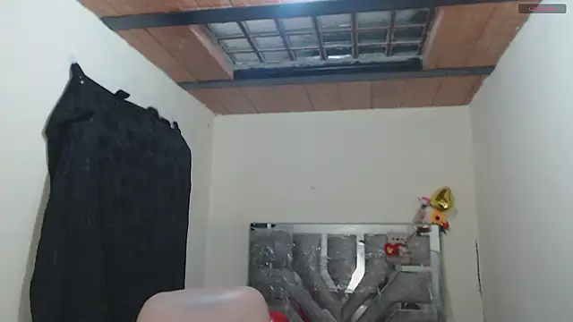 Živý XXX chat toxxxic_cams