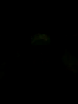 S7LEALTADPERVLIMA7 Webcam Show