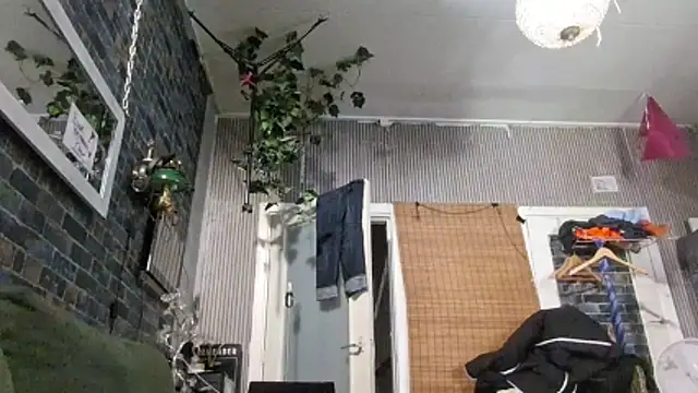 Maikel1981-NL Webcam Show