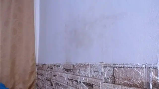 XXX chat uživo modela Bicky_24