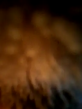 exedel11 webkamerás műsora