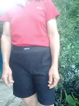 phlin1n Webbikameraesitys