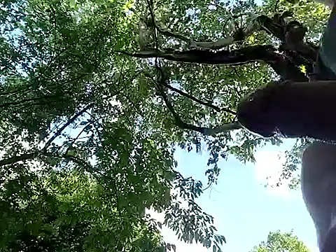 Galaqsis10 Webcam-Show