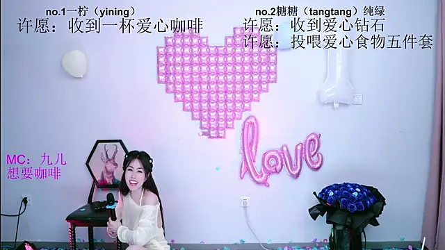CCTW-100 Webcam-Show