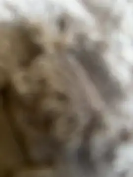 Cookie_cream87 live XXX chat
