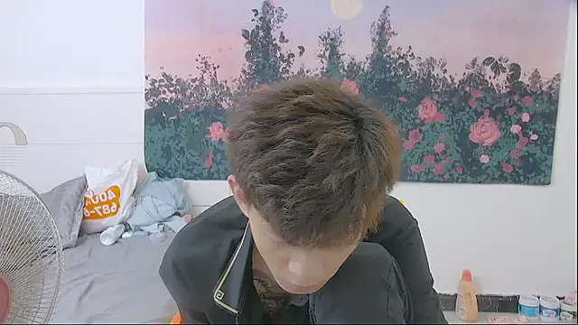 paofu-001n Webbikameraesitys