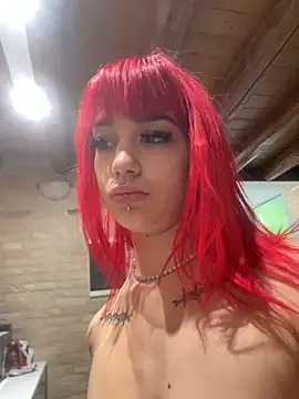 Dollyredn Webbikameraesitys