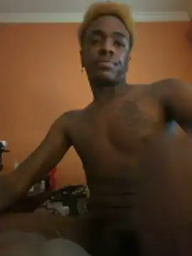 Show de webcam de richwifi