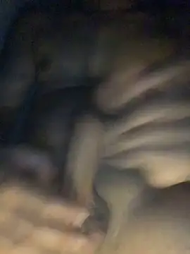 chixn04 网络视讯表演