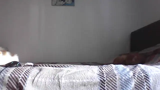 MarkusBerq_H 라이브 XXX 채팅