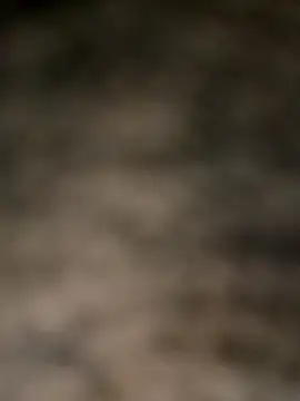 bear_skinny Webcam show