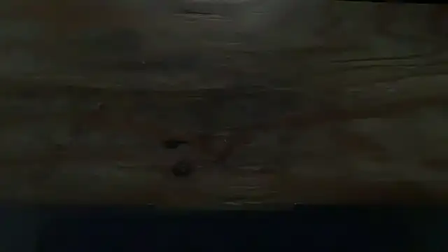falacomigobbzin Show in webcam