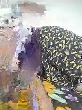 Desi_Lodo_Gujju_Boy Webcam show