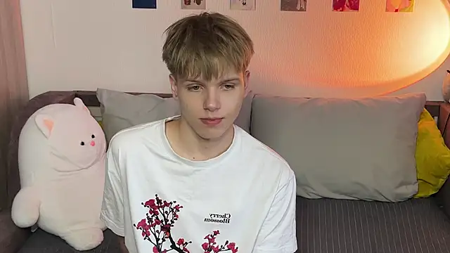 metarion webcam show
