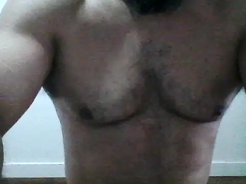 Chat +18 de stallony ao vivo