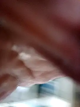 donimani webcam show