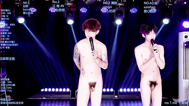 AOA-MIC – webcam-show