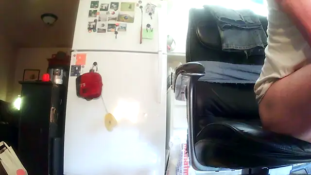 Show de CapybaraDeWanderer na webcam