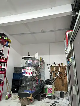 Paul22cm- webkamerás műsora