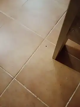 ramonswpn Webbikameraesitys