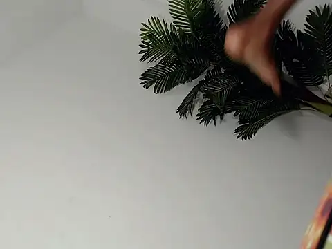 noeh_lasston Webcam-Show
