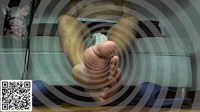عرض كام Alphacashmaster777