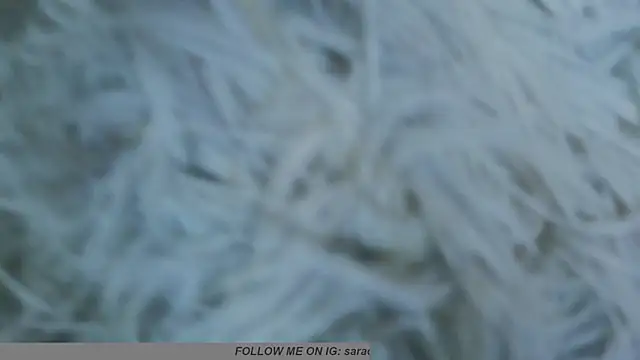 Webkamerová show Sara_cutie_