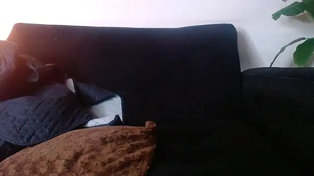 Show webcam de Jesve