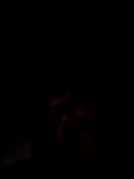 deshilnd Webcam-Show