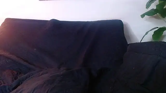 Jesve's Live XXX Chat