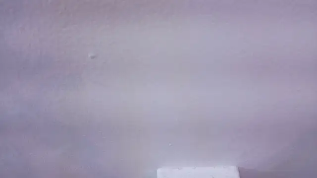 Zack_isback élő XXX-chatje