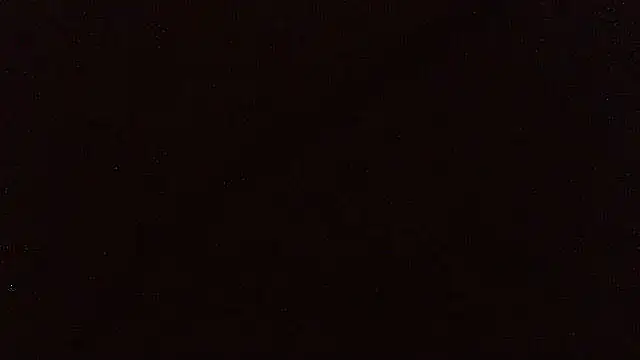pietje1991 webcam show