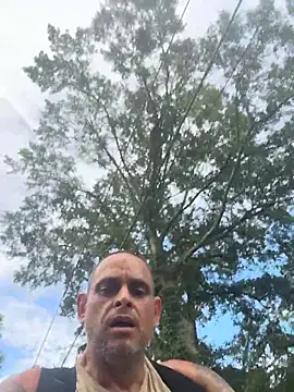 Buffshagswell Chat XXX live