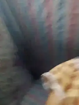 Živý XXX chat Crave_semen