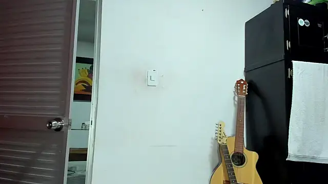 VincentSavage Show Webcam