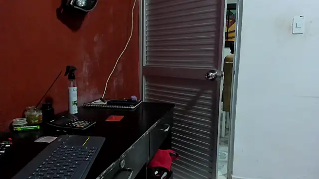 VincentSavage's Webcam Show