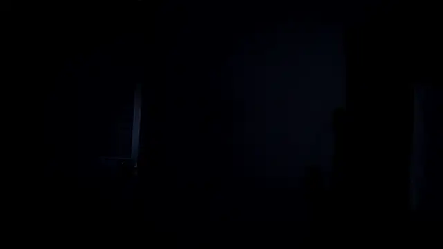 VincentSavage 现场XXX聊天