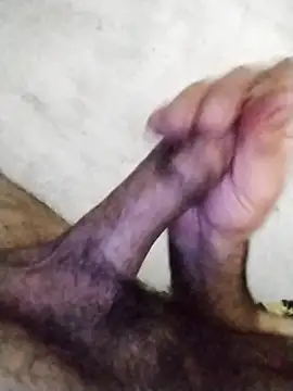 salimbasha Live XXX-Chat