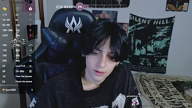 sai_l01 网络视讯表演
