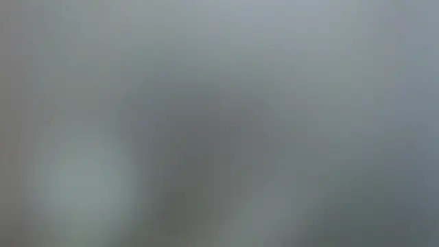 MasterLeila Live XXX-chat